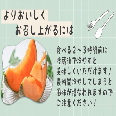 <2026年7月下旬よりお届け>赤肉メロン(ニューキングメロン)2玉 約3kg SBTN003