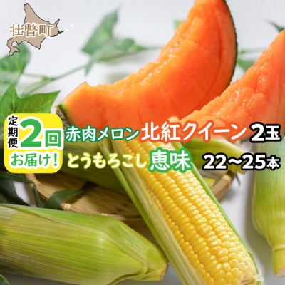 【2027年発送】壮瞥町産　赤肉メロン2玉ととうもろこし(恵味)22～25本 SBTP007