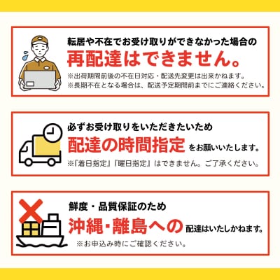 <2026年7月・8月・10月お届け>メロン・とうもろこし・お米　定期便 SBTP010
