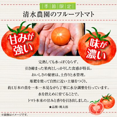 <2026年6月下旬よりお届け>北海道壮瞥産 こだわりフルーツトマト　20玉以上 SBTO003
