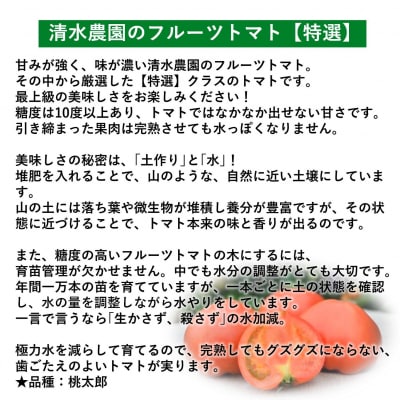 <2026年6月下旬よりお届け>【糖度10度以上】こだわりフルーツトマト 20玉以上 SBTO005