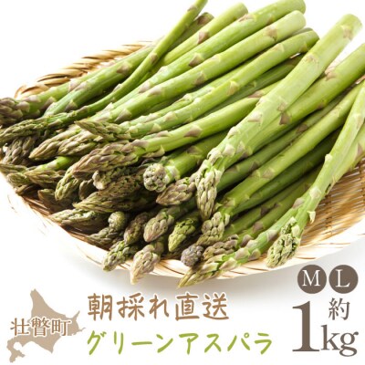 <2026年5月中・下旬よりお届け>グリーンアスパラ約1kg(M・L混合)SBTM001