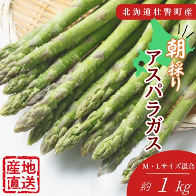 【先行予約】朝採り直送 グリーンアスパラ約1kg(M・L混合) 北海道壮瞥町産 SBTM001