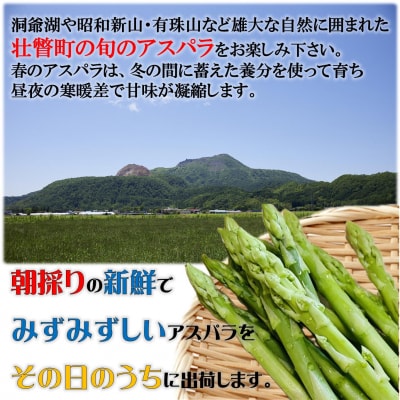 【先行予約】朝採り直送 グリーンアスパラ約1kg(M・L混合) 北海道壮瞥町産 SBTM001