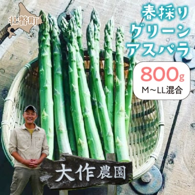 <2026年4月上旬よりお届け>春採りグリーンアスパラM～LL混合　約800g SBTR005