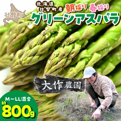 <2027年4月上旬よりお届け>春採りグリーンアスパラM～LL混合　約800g SBTR005