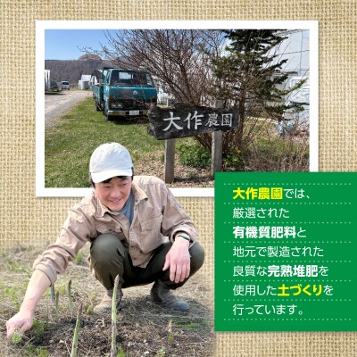 <2027年4月上旬よりお届け>春採りグリーンアスパラM～LL混合　約800g SBTR005