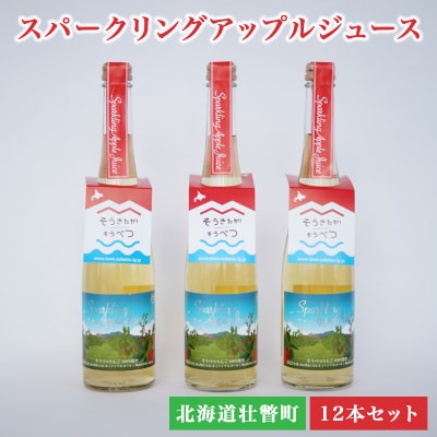 スパークリングアップルジュース12本セット SBTA020 | ふるさと納税のお礼品