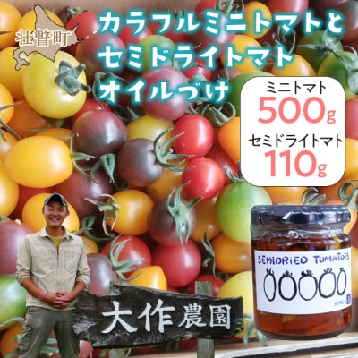 大作農園の『カラフルミニトマト』約500gと『セミドライトマトオイル漬け』のセット SBTR008