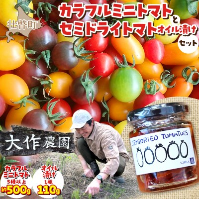 大作農園の『カラフルミニトマト』約500gと『セミドライトマトオイル漬け』のセット SBTR008