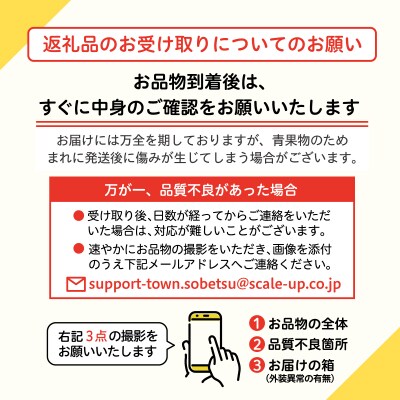 大作農園の『カラフルミニトマト』約500gと『セミドライトマトオイル漬け』のセット SBTR008