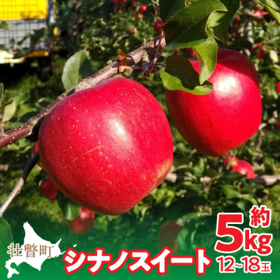 <2026年10月下旬よりお届け>壮瞥町りんご「シナノスイート」12～18玉約5kg SBTF012