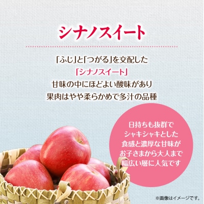 <2026年10月下旬よりお届け>壮瞥町りんご「シナノスイート」12～18玉約5kg SBTF012