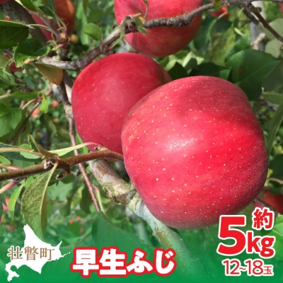 <2025年10月中旬よりお届け>壮瞥町産りんご「早生ふじ」約5kg SBTF009