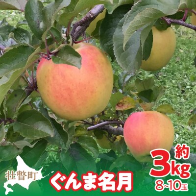 <2026年11月中旬よりお届け> 壮瞥町産りんご 「ぐんま名月」8～10玉約3kg SBTF004