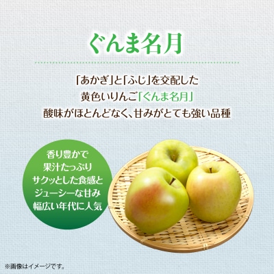 <2026年11月中旬よりお届け> 壮瞥町産りんご 「ぐんま名月」8～10玉約3kg SBTF004
