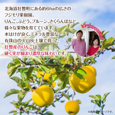 <2026年11月中旬よりお届け> 壮瞥町産りんご 「ぐんま名月」8～10玉約3kg SBTF004