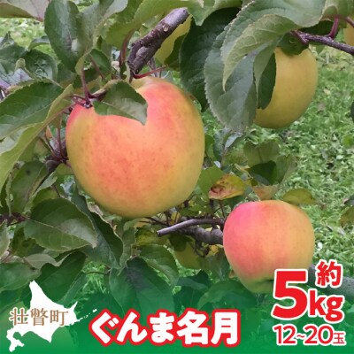 <2026年11月中旬よりお届け>壮瞥町産りんご「ぐんま名月」12～20玉約5kg SBTF013