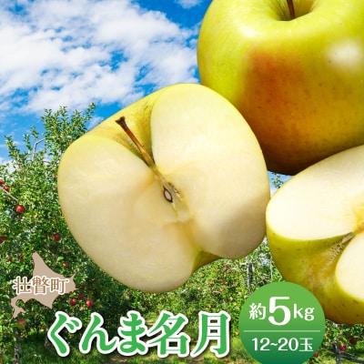 <2026年11月中旬よりお届け>壮瞥町産りんご「ぐんま名月」12～20玉約5kg SBTF013