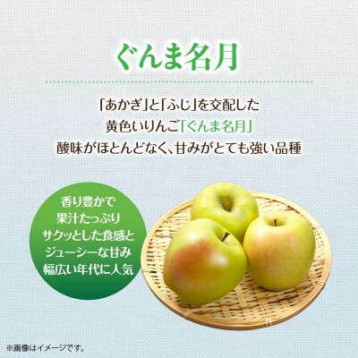 ＜2026年11月中旬よりお届け＞壮瞥町産りんご「ぐんま名月」12～20玉約5kg SBTF013