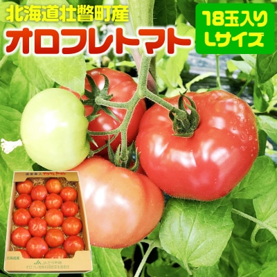 <2026年3月上旬より順次お届け>オロフレトマト18玉入り(Lサイズ) SBTA029