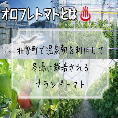 <2026年3月上旬より順次お届け>オロフレトマト18玉入り(Lサイズ) SBTA029