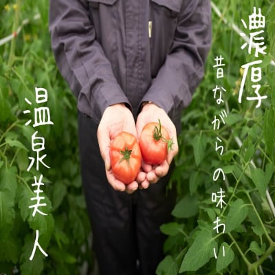 <2026年3月上旬より順次お届け>オロフレトマト18玉入り(Lサイズ) SBTA029