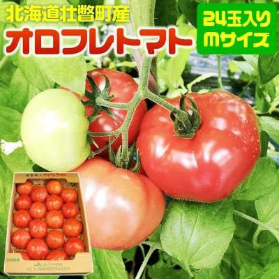 <2026年3月上旬より順次お届け>オロフレトマト24玉入り(Mサイズ) SBTA028