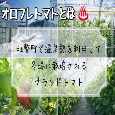 <2026年3月上旬より順次お届け>オロフレトマト24玉入り(Mサイズ) SBTA028