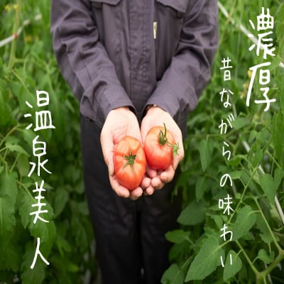 <2026年3月上旬より順次お届け>オロフレトマト24玉入り(Mサイズ) SBTA028