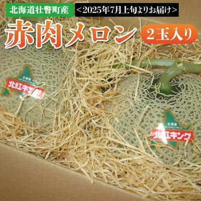 <2025年7月上旬よりお届け>北海道壮瞥町産 赤肉メロン 2玉入り SBTA031