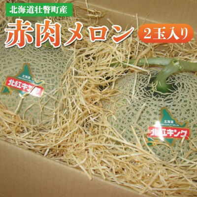 <2026年7月上旬よりお届け>北海道壮瞥町産 赤肉メロン 2玉入り SBTA031