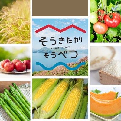 <2026年7月上旬よりお届け>北海道壮瞥町産 赤肉メロン 2玉入り SBTA031