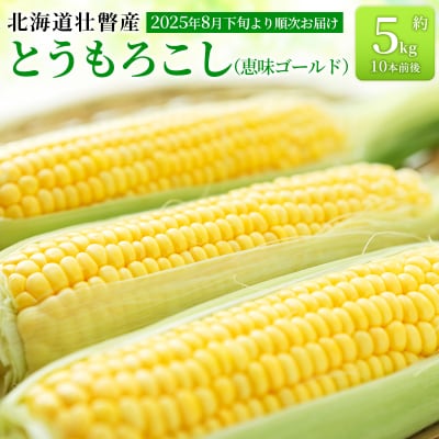 <2025年8月下旬より順次お届け>壮瞥町産とうもろこし(恵味ゴールド)約5kg SBTA001