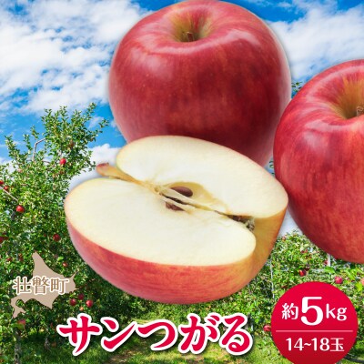<2026年9月下旬よりお届け> 壮瞥町産りんご「サンつがる」14～18玉約5kg SBTF010
