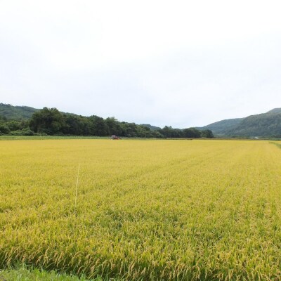 【R7年産】【隔月3回配送】(無洗米15kg)ホクレン北海道ななつぼし(5kg×3袋)SBTD123