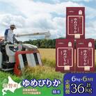 【令和7年産】【6ヶ月定期配送】(精米6kg)ホクレンゆめぴりか(精米2kg×3袋) SBTD031