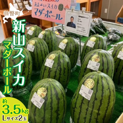 <2026年8月上旬よりお届け>新山すいか (マダーボール)Lサイズ2玉 SBTN002