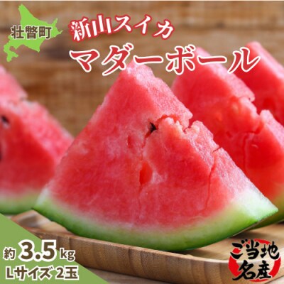 <2026年8月上旬よりお届け>新山すいか (マダーボール)Lサイズ2玉 SBTN002