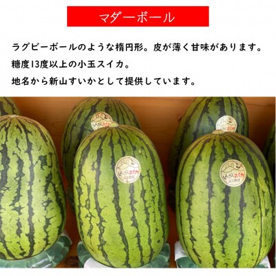 <2026年8月上旬よりお届け>新山すいか (マダーボール)Lサイズ2玉 SBTN002