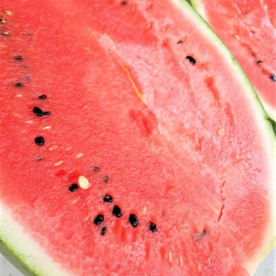 <2026年8月上旬よりお届け>新山すいか (マダーボール)Lサイズ2玉 SBTN002