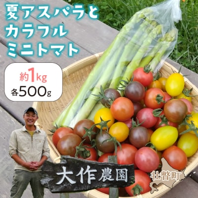 <2026年7月上旬よりお届け>大作農園『夏アスパラとカラフルミニトマト』約1kg SBTR004