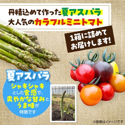 <2027年7月上旬よりお届け>大作農園『夏アスパラとカラフルミニトマト』約1kg SBTR004
