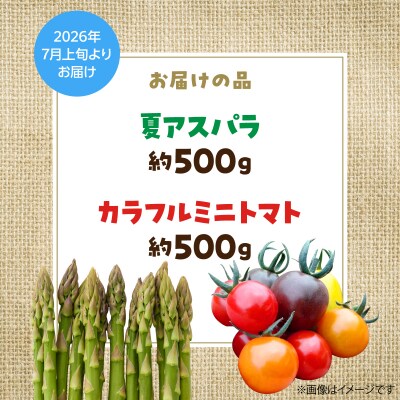 <2027年7月上旬よりお届け>大作農園『夏アスパラとカラフルミニトマト』約1kg SBTR004