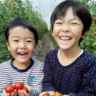 <2026年7月上旬よりお届け>大作農園『夏アスパラとカラフルミニトマト』約1kg SBTR004