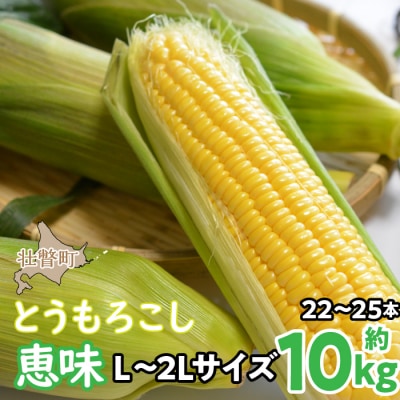 <2025年8月初旬よりお届け>とうもろこし(恵味)約10kg【22～25本】SBTP006