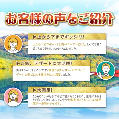<2026年8月初旬よりお届け>とうもろこし(恵味)約10kg【22～25本】SBTP006