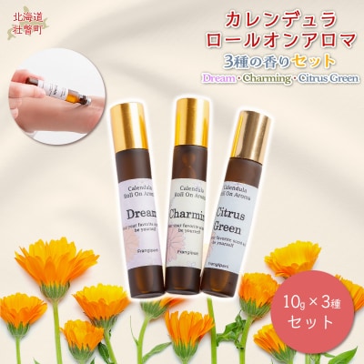 Jf[IA} 3̍Zbg(e1)SBTX015