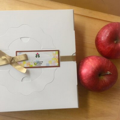 北海道壮瞥産　りんごの濃厚チーズケーキ(直径約20cm) SBTI003