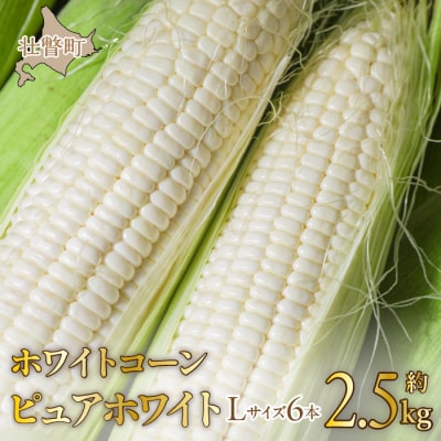 <2025年8月中旬よりお届け>ホワイトコーン「ピュアホワイト」6本(約2.5Kg)SBTQ004